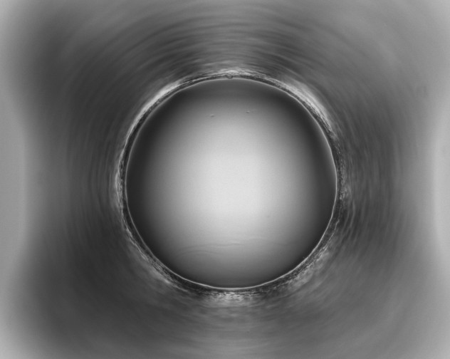 X0000096710806200802051420