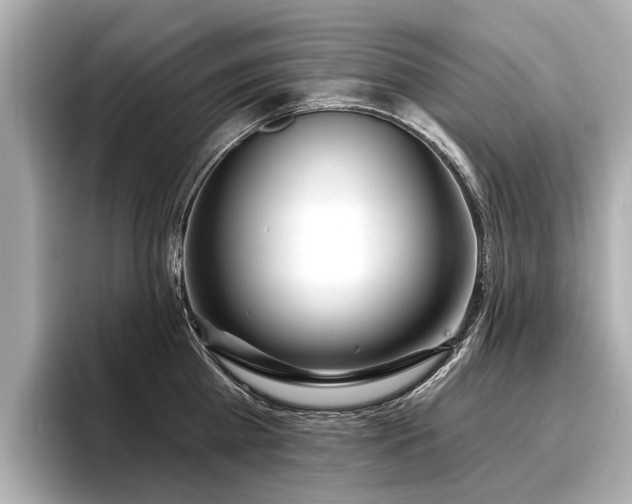 X0000096710809200802051420