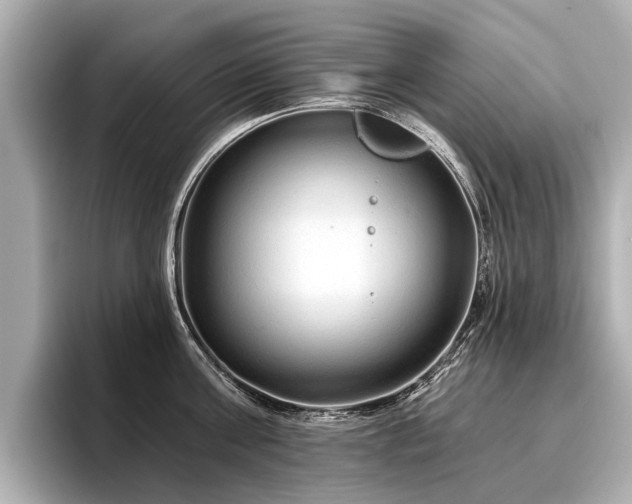 X0000096710811200802051420