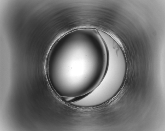 X0000096710813200802051420