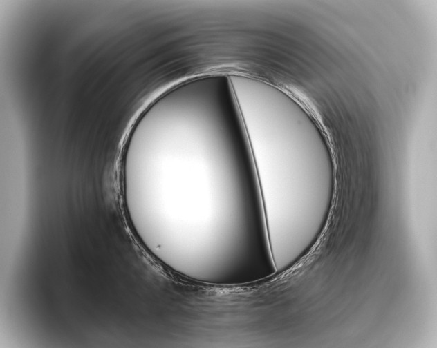 X0000096710816200802051420