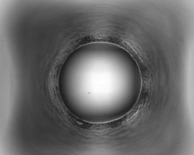 X0000096710817200802051419