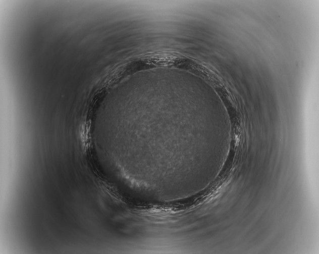 X0000096710818200802051419