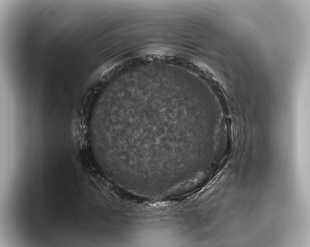 X0000096710822200802051419