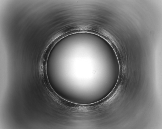 X0000096710827200802051419