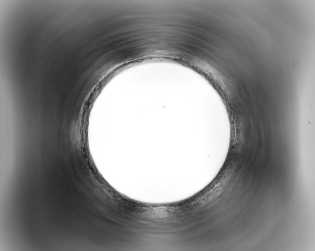 X0000096710828200802051419