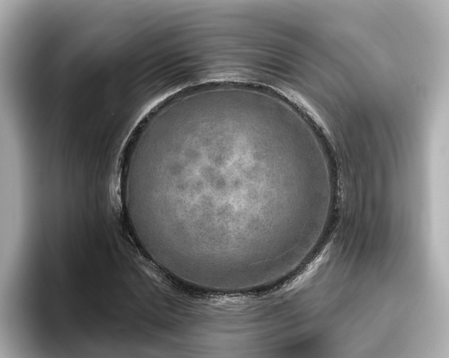 X0000096710830200802051419