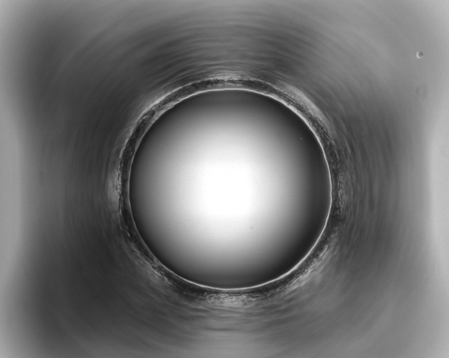 X0000096710831200802051419