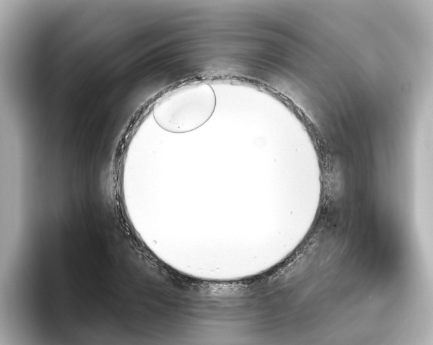 X0000096710832200802051419