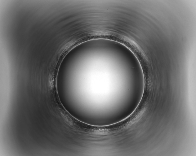 X0000096710833200802051419