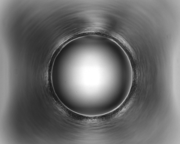 X0000096710834200802051419