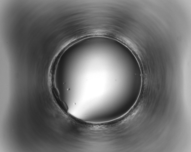 X0000096710835200802051419