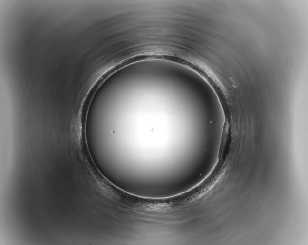 X0000096710837200802051420