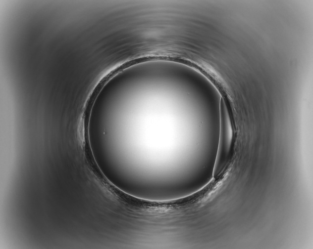 X0000096710838200802051420