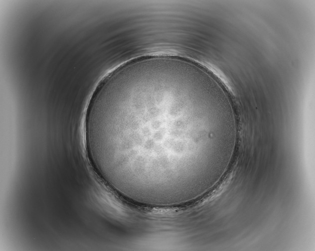 X0000096710840200802051420