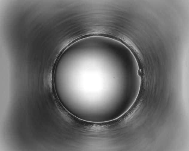 X0000096710842200802051420