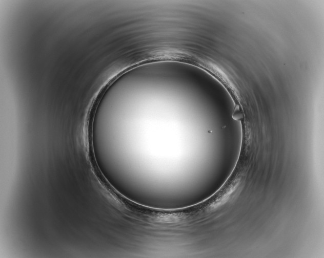 X0000096710843200802051420