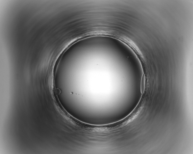 X0000096710844200802051420