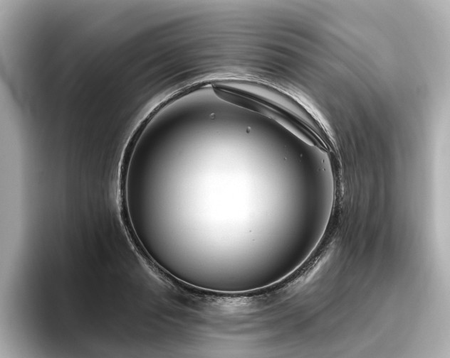 X0000096710845200802051420