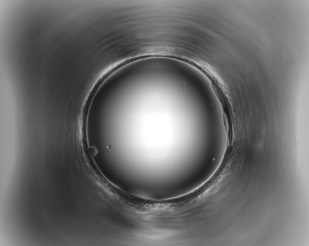 X0000096710846200802051420