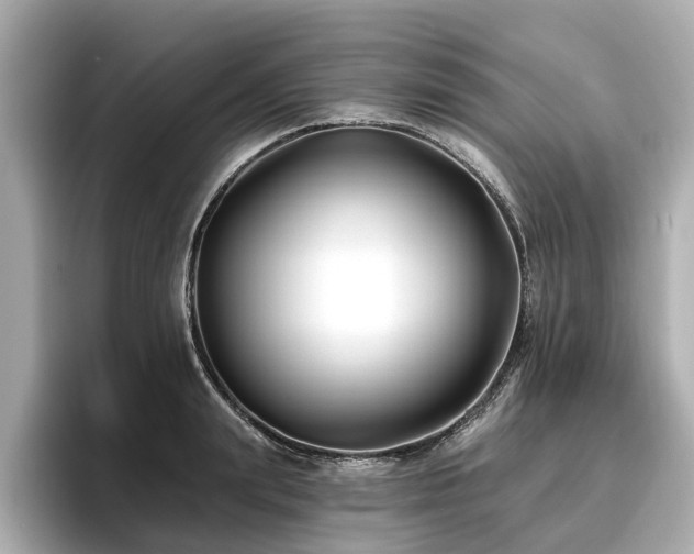 X0000096710847200802051420