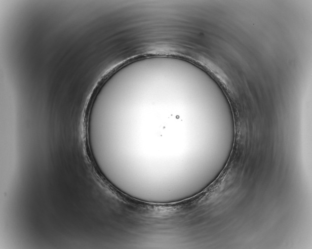 X0000096710848200802051420