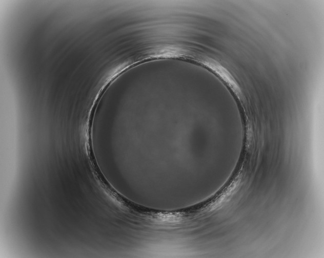 X0000096710850200802051420