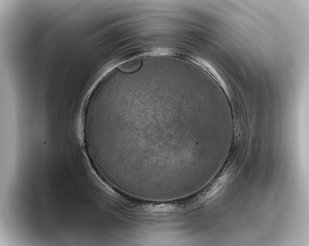 X0000096710851200802051420