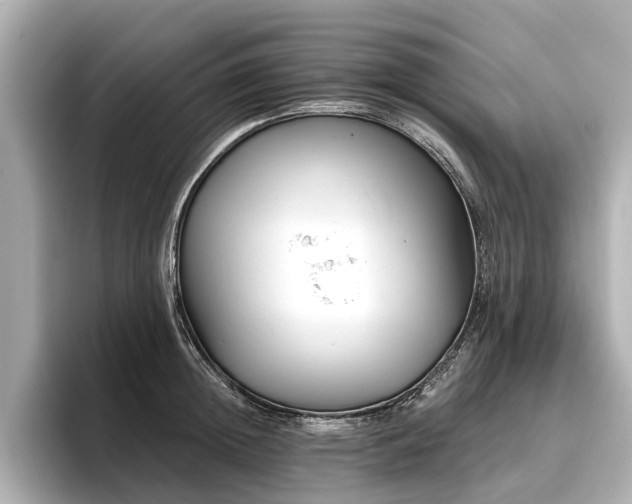 X0000096710852200802051420