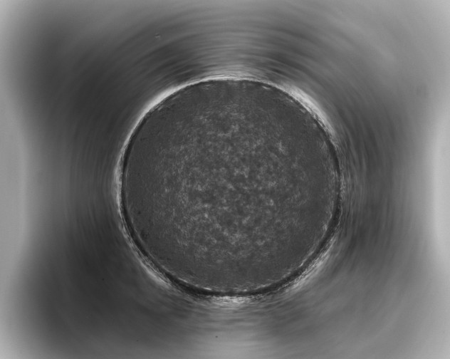 X0000096710854200802051420