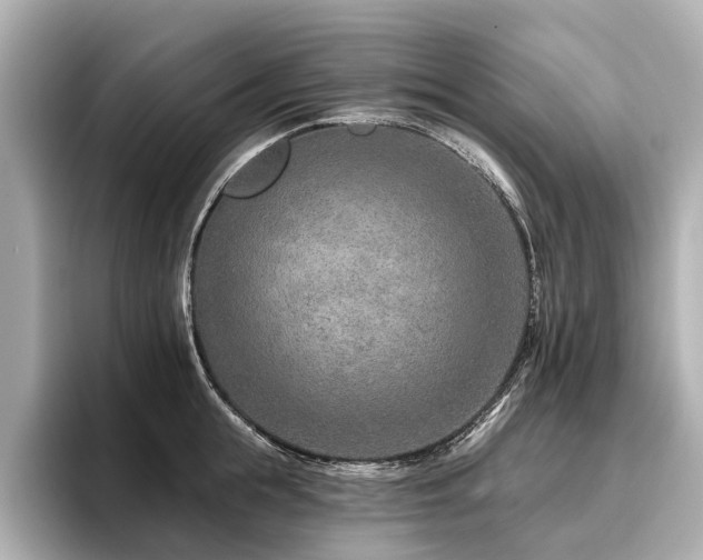 X0000096710855200802051420