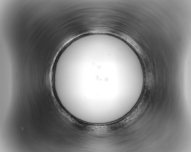 X0000096710856200802051420