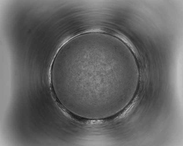 X0000096710858200802051420