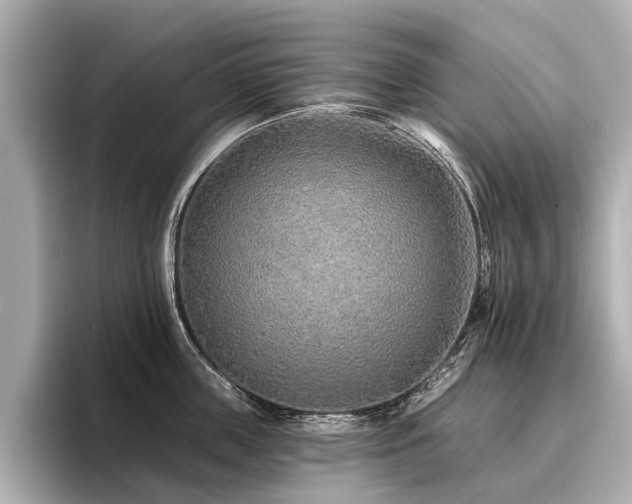 X0000096710859200802051420