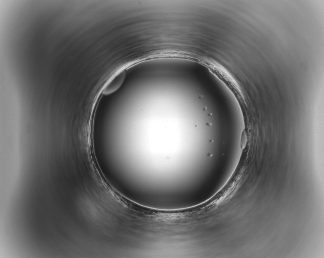 X0000096710860200802051420