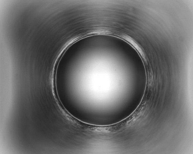 X0000096710861200802051420