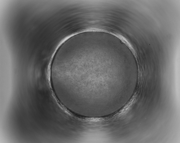 X0000096710862200802051420