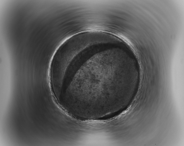 X0000096710864200802051420