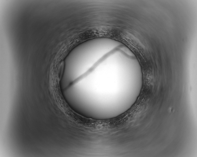 X0000096710865200802051419