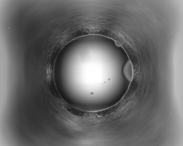 X0000096710866200802051419