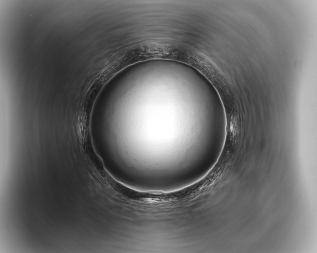 X0000096710867200802051419