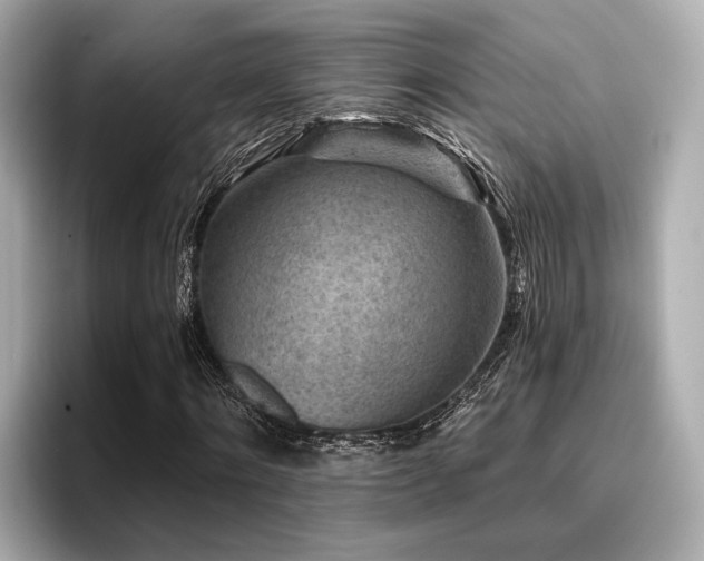 X0000096710868200802051419