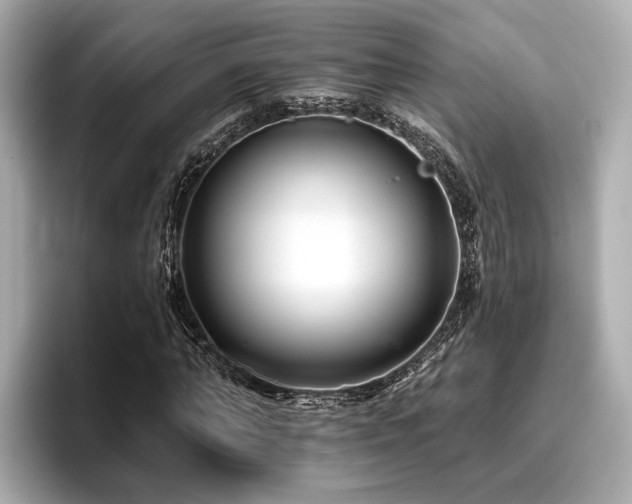 X0000096710870200802051419