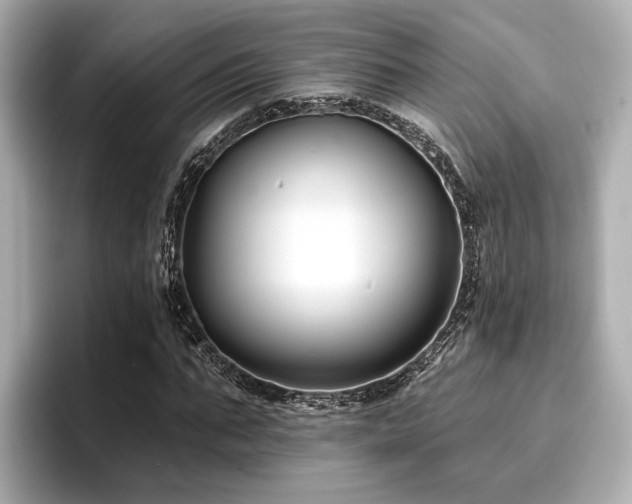 X0000096710871200802051419