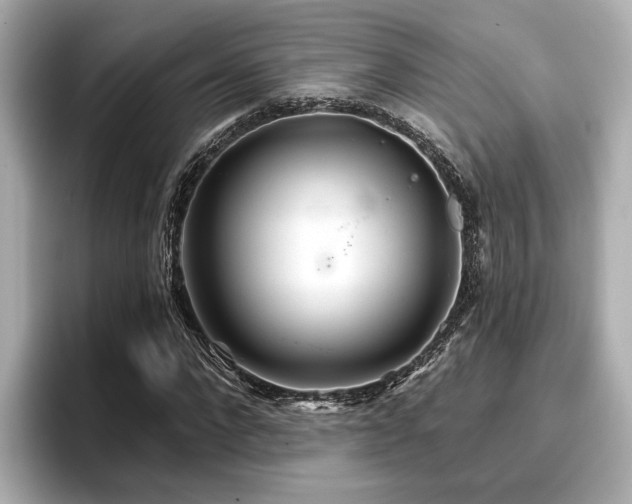 X0000096710872200802051419