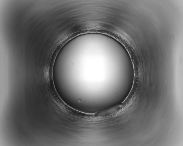 X0000096710873200802051419