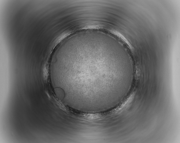 X0000096710874200802051419