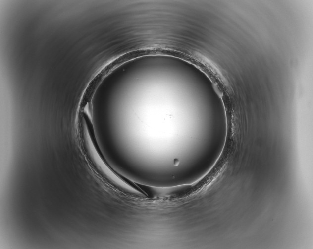 X0000096710876200802051419