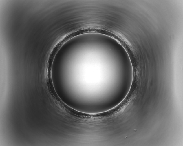 X0000096710877200802051419