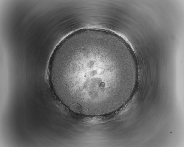 X0000096710879200802051419